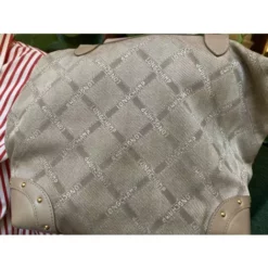 Sac à Main En Tissu Longchamp Roseau